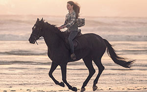 An American drama `Black Beauty` by Ashley Avis (Release - 27 November 2020)